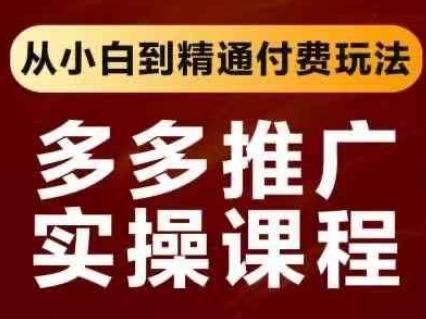 拼多多推广实操课程，从小白到精通付费玩法-彼飞网创