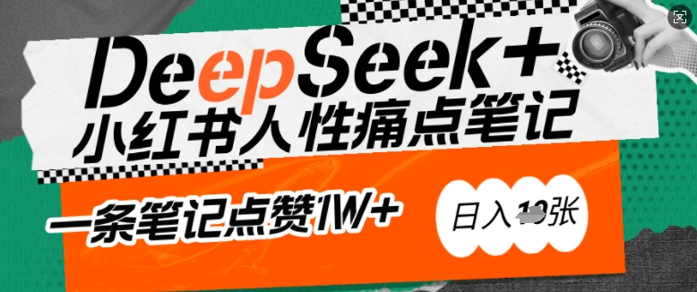 AI赋能小红书爆款秘籍：用DeepSeek轻松抓人性痛点，小白也能写出点赞破万的吸金笔记，日入多张-彼飞网创