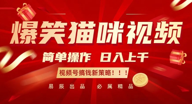 爆笑猫咪视频：简单操作，日入过K，视频号搞钱新策略【揭秘】-彼飞网创
