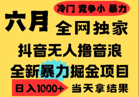 25年6月高爆抖音无人直播最新撸音浪掘金项目，小白可做，无脑日入1k+，门槛低可批量矩阵【揭秘】-彼飞网创