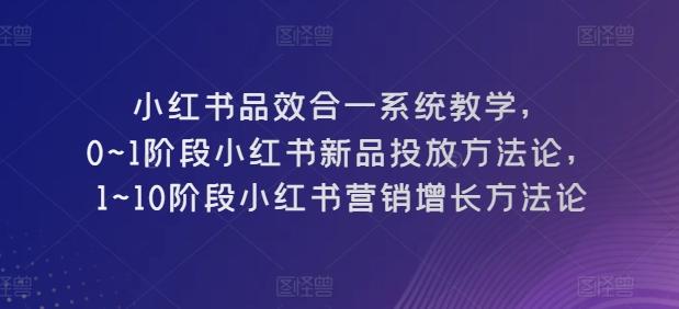 小红书品效合一系统教学，​0~1阶段小红书新品投放方法论，​1~10阶段小红书营销增长方法论-彼飞网创