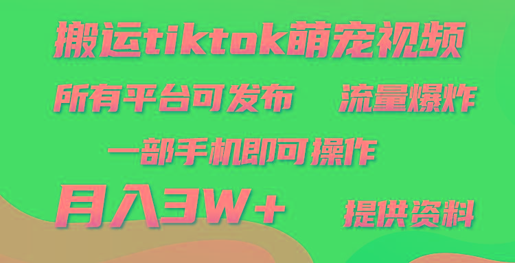 (9618期)搬运Tiktok萌宠类视频，一部手机即可。所有短视频平台均可操作，月入3W+-彼飞网创