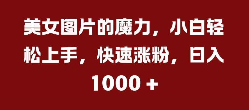 美女图片的魔力，小白轻松上手，快速涨粉，日入几张【揭秘】-彼飞网创