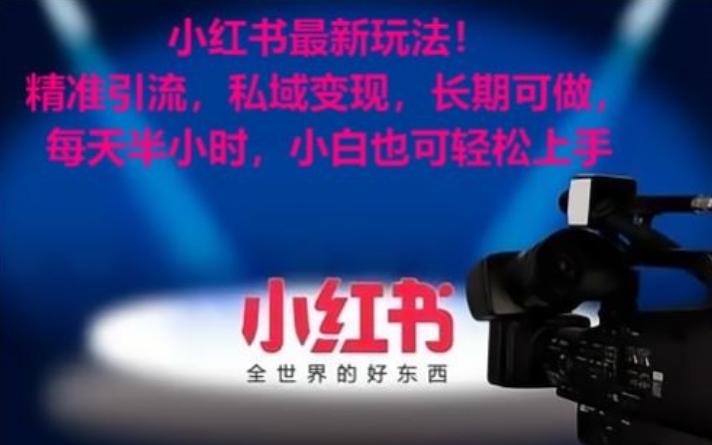 小红书最新玩法！精准引流，私域变现，长期可做，每天半小时，小白也可轻松上手【揭秘】-彼飞网创