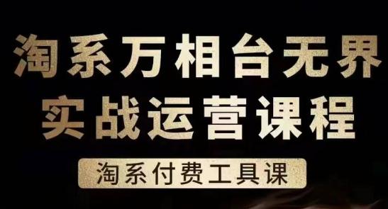 淘系万相台无界实战运营课，淘系付费工具课-彼飞网创