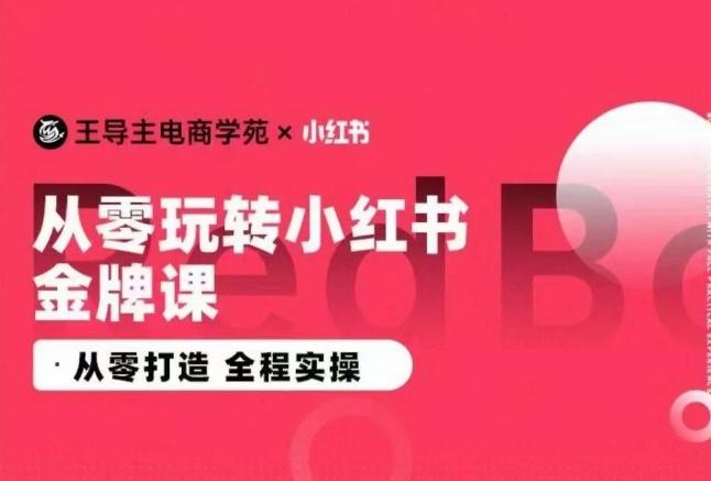 王导主·小红书电商运营实操课，​从零打造  全程实操-彼飞网创