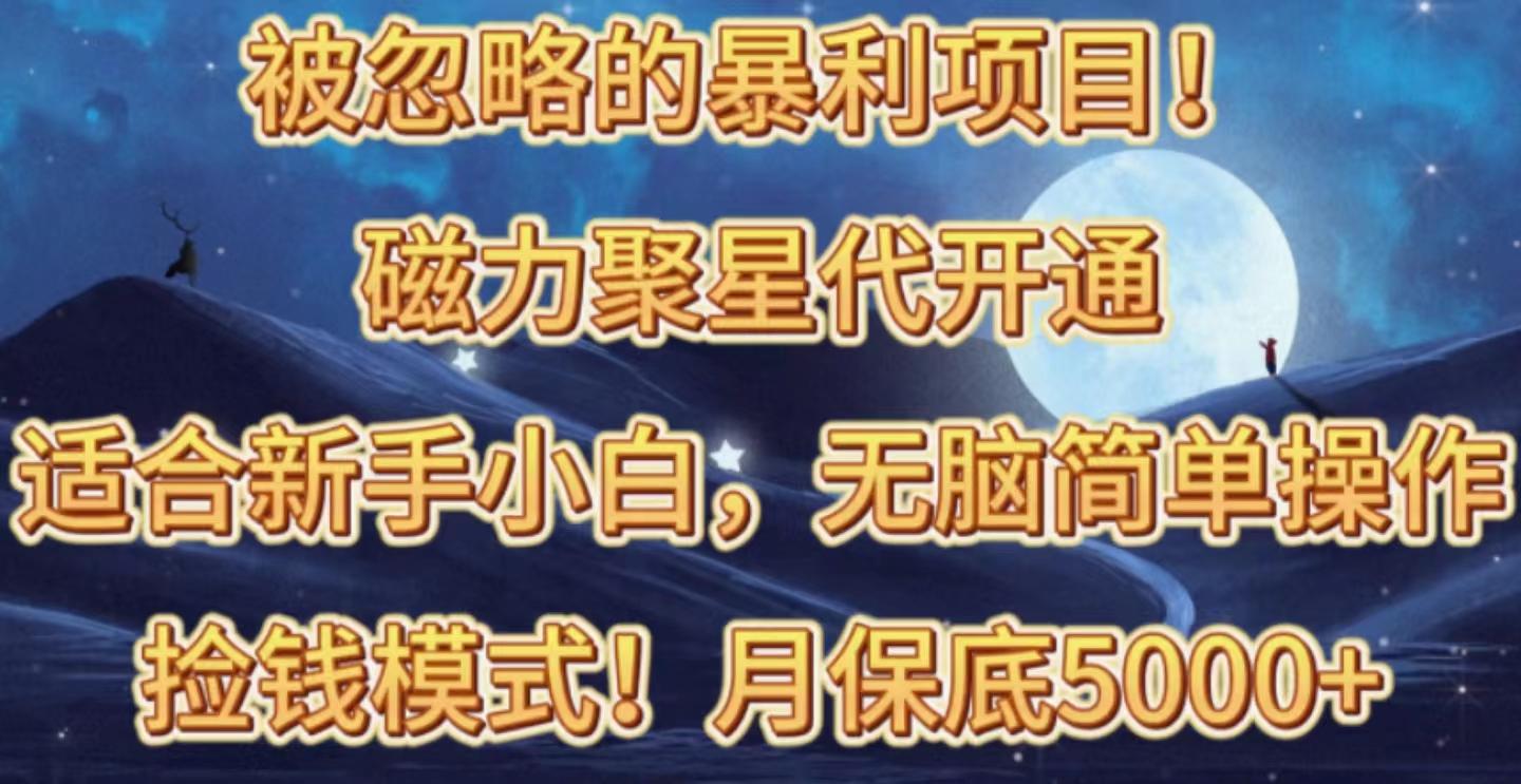 被忽略的暴利项目！磁力聚星代开通捡钱模式，轻松月入五六千-彼飞网创