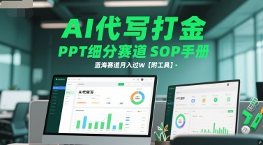 AI代写打金，PPT细分赛道SOP手册，蓝海赛道月入过W【附工具】-彼飞网创