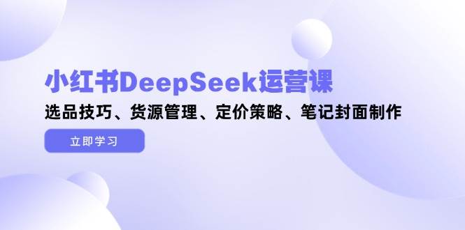 小红书DeepSeek运营课，选品技巧、货源管理、定价策略、笔记封面制作-彼飞网创