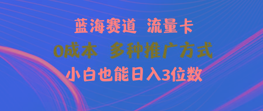 蓝海赛道 流量卡 0成本 小白也能日入三位数-彼飞网创