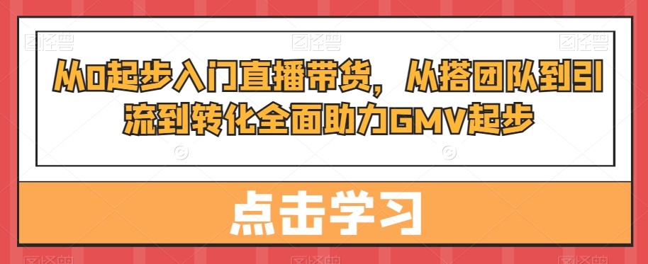 从0起步入门直播带货，​从搭团队到引流到转化全面助力GMV起步-彼飞网创