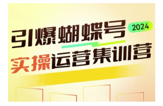引爆蝴蝶号实操运营，助力你深度掌握蝴蝶号运营，实现高效实操，开启流量变现之路-彼飞网创