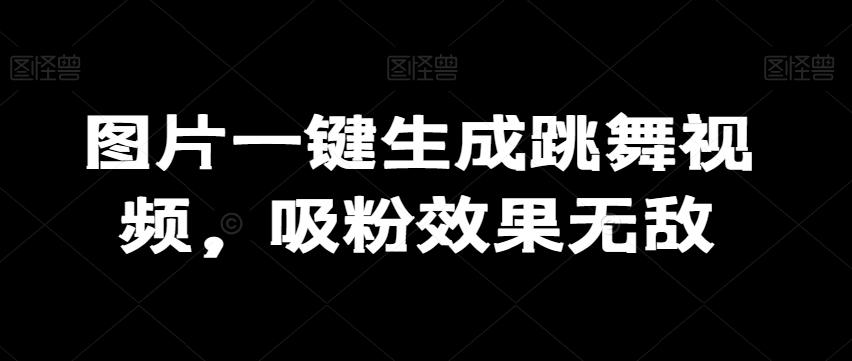 图片一键生成跳舞视频，吸粉效果无敌-彼飞网创