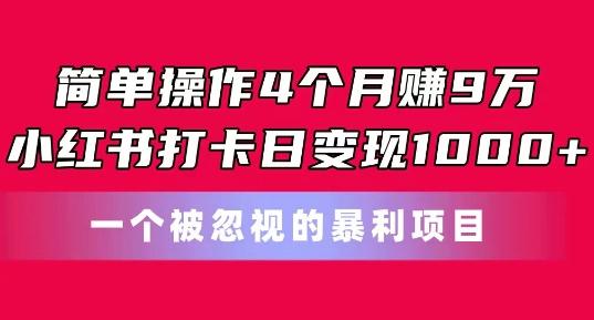 简单操作4个月赚9w，小红书打卡日变现1k，一个被忽视的暴力项目【揭秘】-彼飞网创