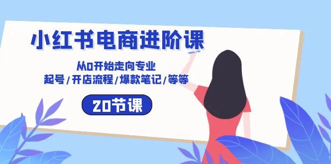 小红书电商进阶课：从0开始走向专业 起号/开店流程/爆款笔记/等等(20节-彼飞网创