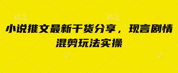 小说推文最新干货分享，现言剧情混剪玩法实操-彼飞网创