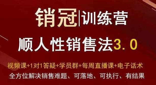 爆款！销冠训练营3.0之顺人性销售法，全方位解决销售难题、可落地、可执行、有结果-彼飞网创