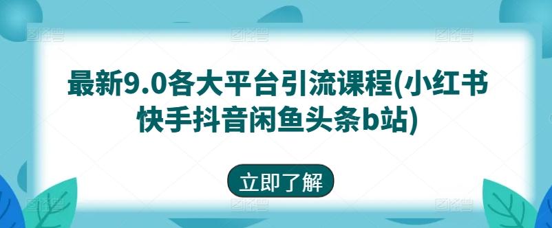 最新9.0各大平台引流课程(小红书快手抖音闲鱼头条b站)-彼飞网创