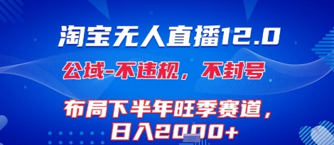 淘宝无人直播12.0，不封号，不违规，布局下半年旺季赛道，日入1k+(独家技术)【揭秘】-彼飞网创