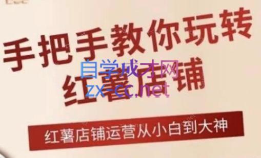 海燕老师·2024手把手教你玩转红薯店铺-彼飞网创