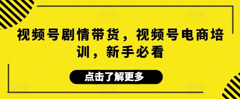 视频号剧情带货，视频号电商培训，新手必看-彼飞网创