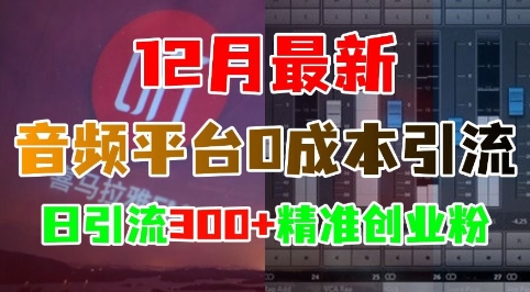12月最新：音频平台0成本引流，日引流300+精准创业粉-彼飞网创
