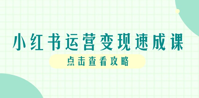 小红书运营变现速成课，账号搭建到暴力起号，个人IP全流程指南-彼飞网创
