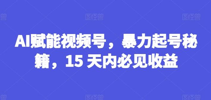 AI赋能视频号，暴力起号秘籍，15 天内必见收益【揭秘】-彼飞网创