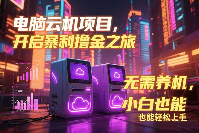 电脑云机项目 暴力撸金玩法，不需要养机 配置没有要求 单机100个窗口一…-彼飞网创