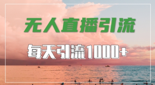 抖音快手视频号全平台通用，无人直播引流法，超暴力引流1000+高质量精准创业粉【揭秘】-彼飞网创