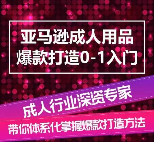 亚马逊成人用品爆款打造0-1入门，系统化讲解亚马逊成人用品爆款打造的流程-彼飞网创