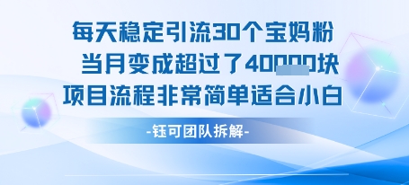 每天稳定引流30个人 当月变成超过了4个W项目流程非常简单适合小白-彼飞网创