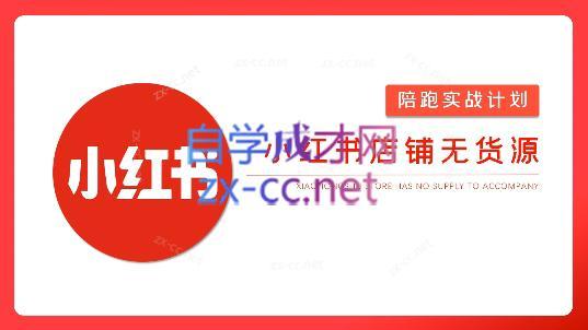 安琪·小红书店铺无货源-彼飞网创