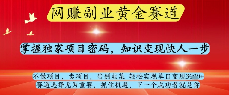 网创副业黄全赛道，掌握独家项目密码，知识变现快人一步，告别韭菜轻松实现单日变现1k+【揭秘】-彼飞网创