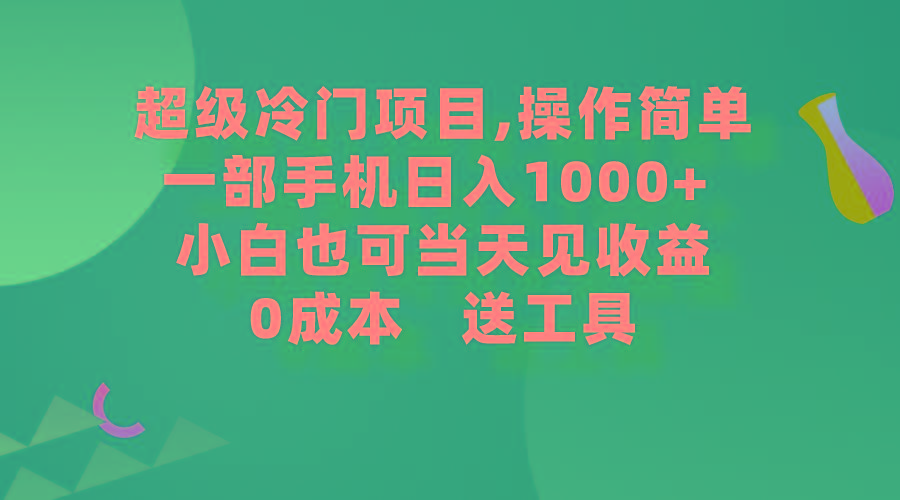 (9291期)超级冷门项目,操作简单，一部手机轻松日入1000+，小白也可当天看见收益-彼飞网创