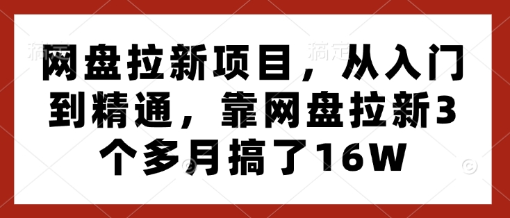 网盘拉新项目，从入门到精通，靠网盘拉新3个多月搞了16W-彼飞网创