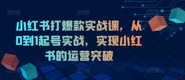 小红书打爆款实战课，从0到1起号实战，实现小红书的运营突破-彼飞网创