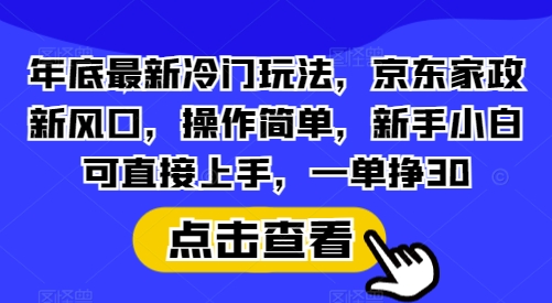 年底最新冷门玩法，京东家政新风口，操作简单，新手小白可直接上手，一单挣30【揭秘】-彼飞网创