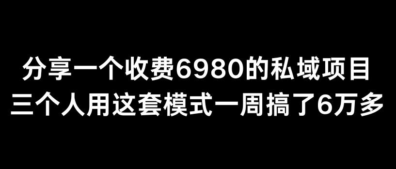 分享一个外面卖6980的私域项目三个人用这套模式一周搞了6万多【揭秘】-彼飞网创