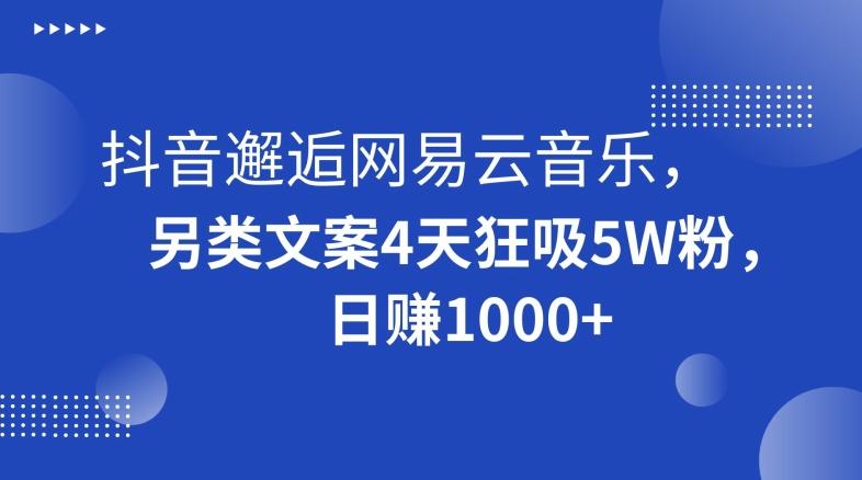 抖音邂逅网易云音乐，另类文案4天狂吸5W粉，日赚1000+【揭秘】-彼飞网创