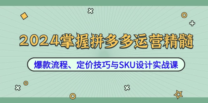 2024掌握拼多多运营精髓：爆款流程、定价技巧与SKU设计实战课-彼飞网创