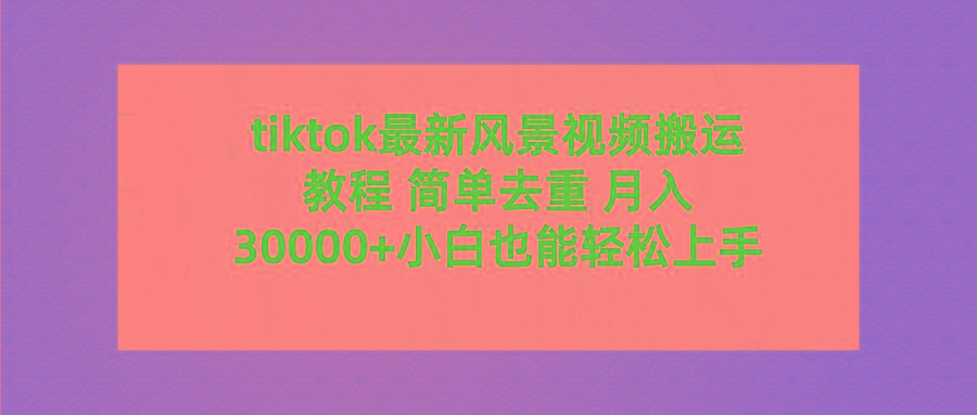 (9804期)tiktok最新风景视频搬运教程 简单去重 月入30000+附全套工具-彼飞网创