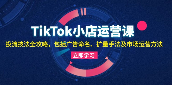 TikTok小店运营课：投流技法全攻略，包括广告命名 扩量手法及市场运营方法-彼飞网创