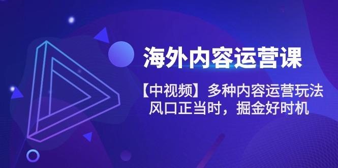 海外内容 运营课【中视频】多种内容运营玩法 风口正当时 掘金好时机-101节-彼飞网创