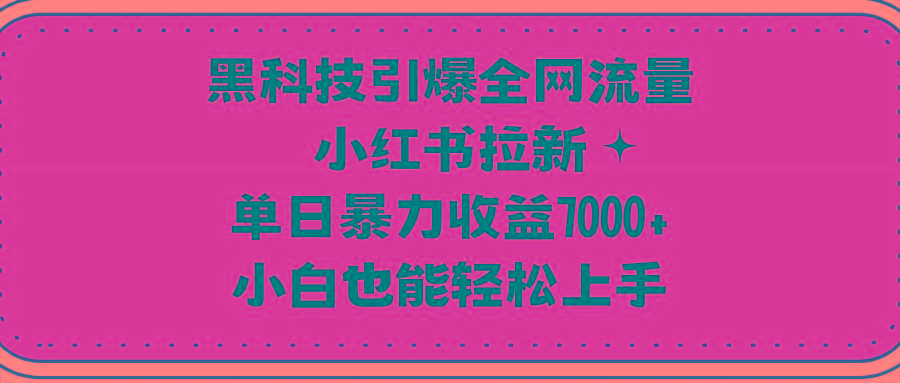 (9679期)黑科技引爆全网流量小红书拉新，单日暴力收益7000+，小白也能轻松上手-彼飞网创