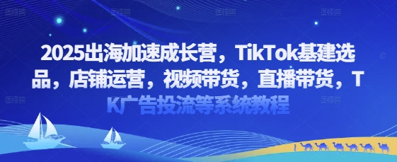 2025出海加速成长营，TikTok基建选品，店铺运营，视频带货，直播带货，TK广告投流等系统教程-彼飞网创