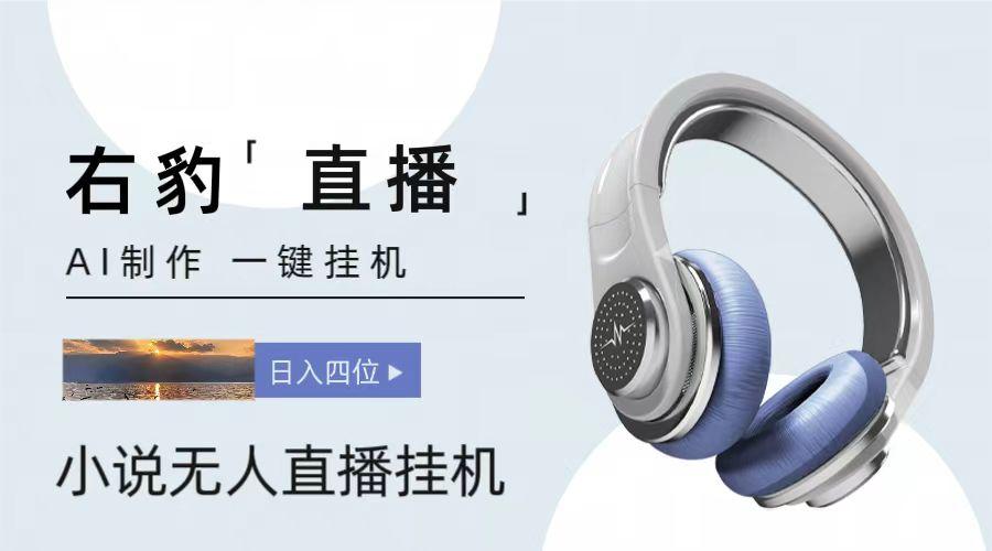 右豹小说无人直播挂机吸金项目，简单易行收益稳定， 月入1000+-彼飞网创
