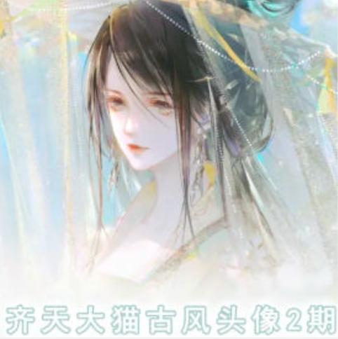 齐天大猫古风头像课第2期，帮助您提高您的绘画技能-彼飞网创