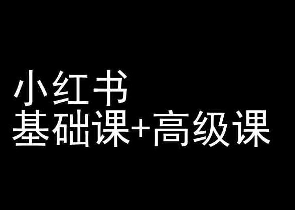 小红书基础课+高级课-小红书运营教程-彼飞网创