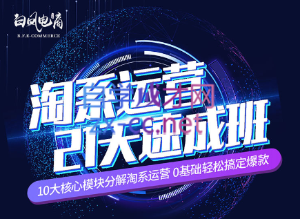 淘系运营21天速成班(更新7月)-彼飞网创